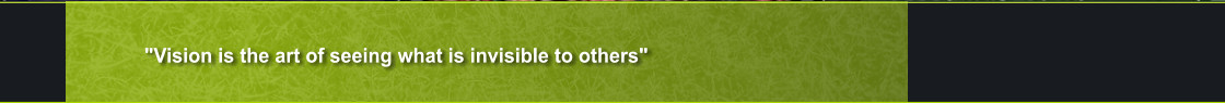 "Vision is the art of seeing what is invisible to others"