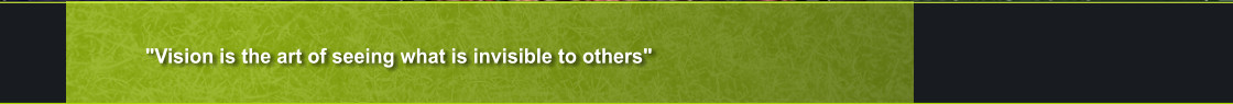 "Vision is the art of seeing what is invisible to others"