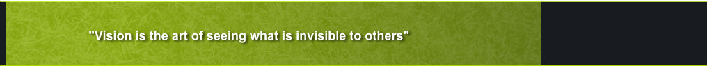 "Vision is the art of seeing what is invisible to others"